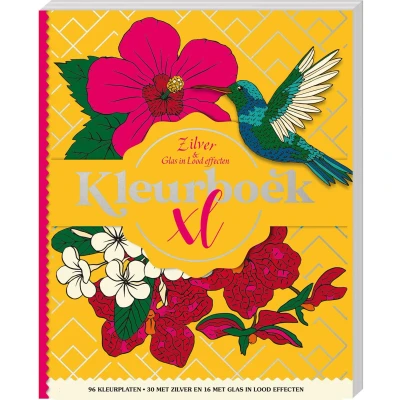 Afbeelding van Kleurboek XL Zilver &amp; Glas in lood effecten (Paperback)