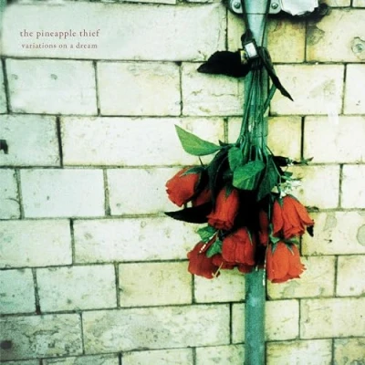 Afbeelding van Pineapple Thief Variations On a Dream (LP)