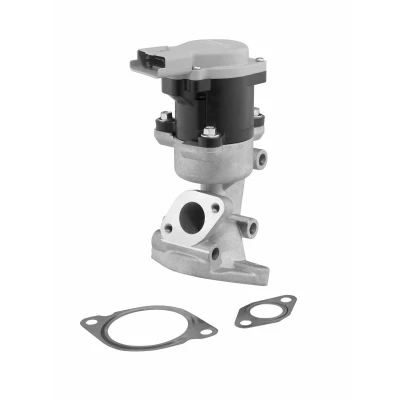 Afbeelding van Wahler EGR klep 710976D