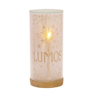 Afbeelding van Widdop and Co Warner Bros Harry Potter Alumni Buislamp Lumos