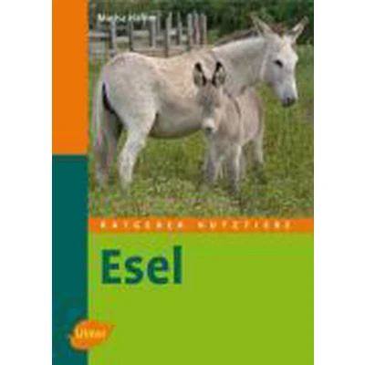 Afbeelding van Esel