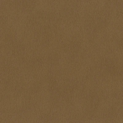 Afbeelding van Rasch African Queen 3 751079 Bruin