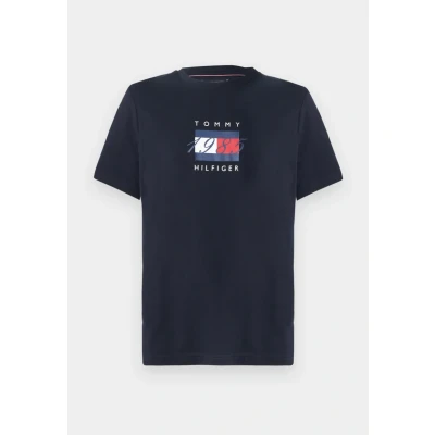 Afbeelding van Tommy Hilfiger Linear FLAG Graphic TEE Unisex Tshirt print, Maat: XL, Desert sky