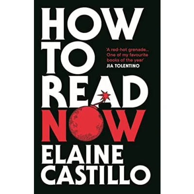 Afbeelding van How to Read Now: essays