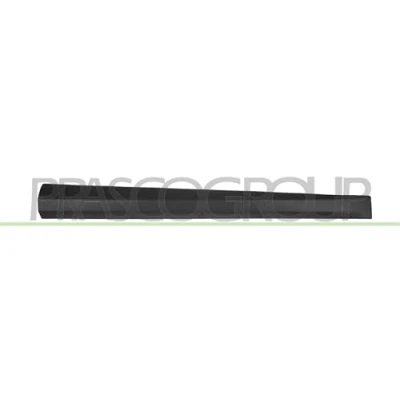 Afbeelding van Sier / beschermingspaneel, deur PRASCO RN4241414