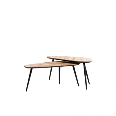 Afbeelding van Light &amp; Living Viejo salontafel set van 2 hout naturel/zwart Metaal