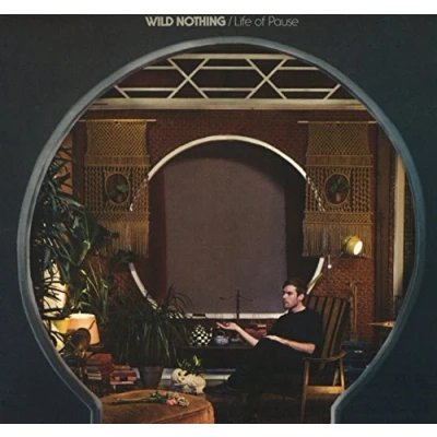 Afbeelding van Wild Nothing Life Of Pause (CD)