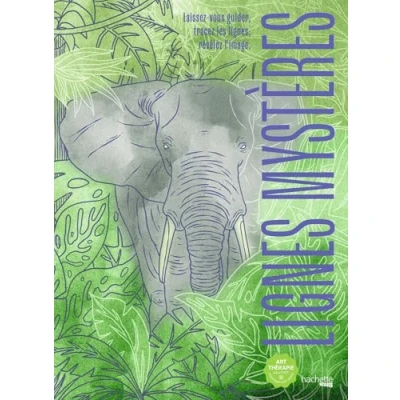 Afbeelding van Lignes Mystères hachette kleurboek voor volwassenen