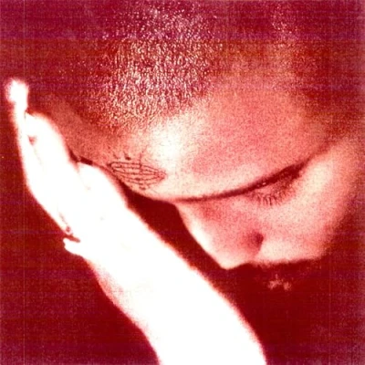 Afbeelding van Nourished By Time The Passionate Ones (CD)