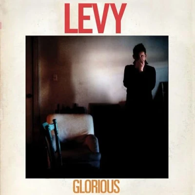 Afbeelding van Levy Glorious (CD)