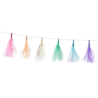 Afbeelding van Tassel Slinger kwastenslinger Pastel iriserend kleuren mix 1.2m (1 stuks) Partydeco