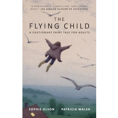 Afbeelding van The Flying Child a Cautionary Fairytale for Adults: Finding purposeful life after Sexual Abuse through compassionate and creative therapy