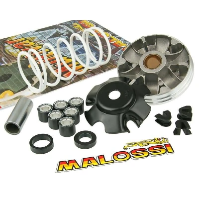 Afbeelding van Malossi Variateur Multivar Piaggio / Gilera 50 2t v.a 1998 (19x15,5 Rollen En Drukveer)