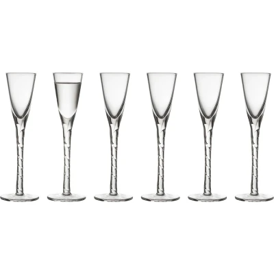 Afbeelding van Lyngby Glas Paris Schnapsglas 2,5 cl 6 st. Helder