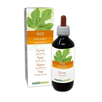 Afbeelding van Vijg of Vijgenboom (Ficus carica) Alcoholvrij extract van verse knoppen Naturalma Vloeibaar druppels 100 ml Voedingssupplement Veganistisch