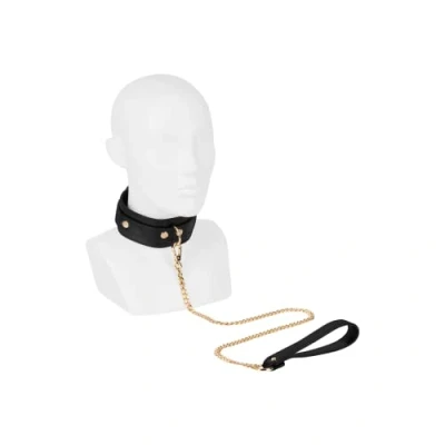 Afbeelding van EIS, halsband, &#039;halsband met riem&#039;, D ring, zwart