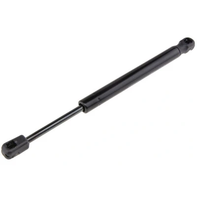 Afbeelding van Gasveer, motorkap NTY AE BM 040