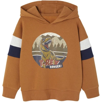 Afbeelding van Vertbaudet Sweater met capuchon geplaatste print