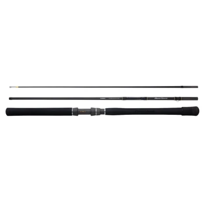 Afbeelding van Shimano Beastmaster CX Innerguide MH 100g 2 Delig