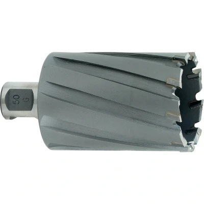 Afbeelding van Metabo Accessoires HM kernboor Ø 19x55 mm 626576000