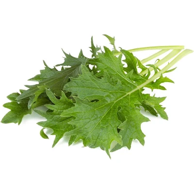 Afbeelding van Click &amp; Grow Mizuna / 3 pack