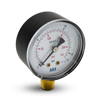 Afbeelding van DOJA Barcelona Waterdrukmanometer, 1/4 inch, 0 10 bar, CL 1,6, waterdrukmeter, bewaking van drinkwatersystemen, verwarming, irrigatie, pompen, enz.