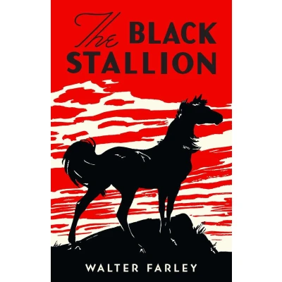 Afbeelding van The Black Stallion
