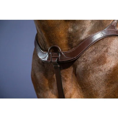 Afbeelding van Anatomisch borsttuig Bruin Pony