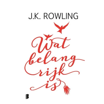 Afbeelding van Wat belangrijk is (Hardback)