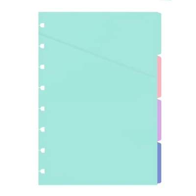 Afbeelding van Filofax 152015 scheidingsbladen (A5, 153 mm, 210 mm)
