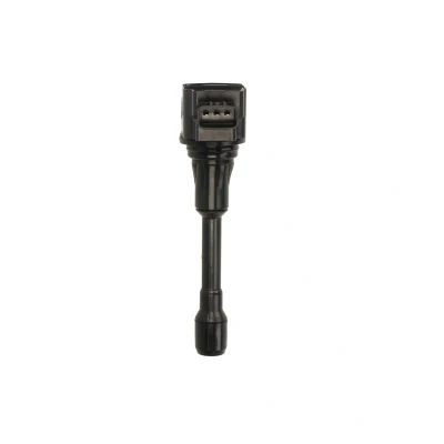 Afbeelding van Bobine DELPHI GN10241 12B1
