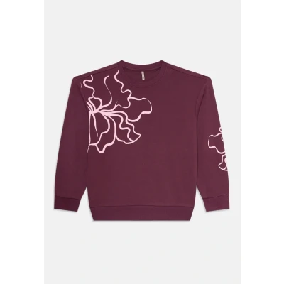 Afbeelding van ONLY KOGODESSA LIFE L/S O NECK BOX UB CP SWT Meisjes Trui Mauve Wine Blurry Flower Roseate Spoonbill