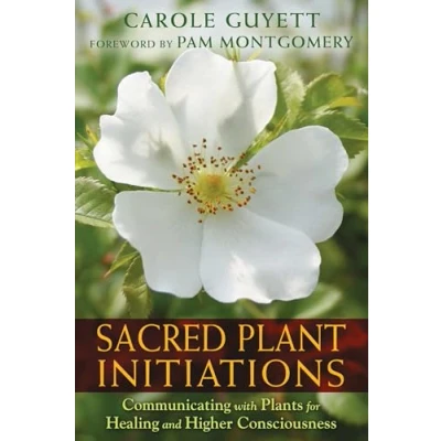 Afbeelding van Sacred Plant Initiations: Communicating with Plants for Healing and Higher Consciousness