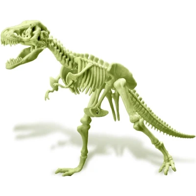 Afbeelding van 4M T Rex Skelet Glow In The Dark