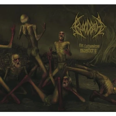Afbeelding van Bloodbath Fathomless Mastery (LP)