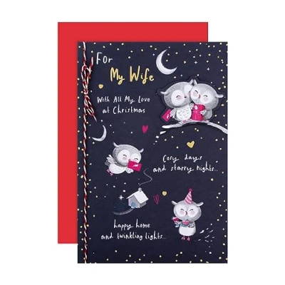 Afbeelding van Hallmark Kerstkaart voor vrouw schattig geïllustreerd uilen ontwerp