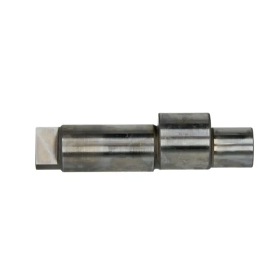 Afbeelding van Excenteras, Common Rail pomp BOSCH F 00R 0P1 765