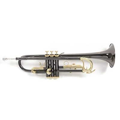 Afbeelding van Roy Benson Bb Trompet TR 101K (ML boring, roestvrijstalen ventielen, goudkoperen leadpipe, elegant ontwerp, in lichtgewicht rechthoekige koffer, met rugzakfunctie), Antraciet