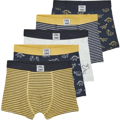 Afbeelding van Vertbaudet Set van 5 stretch jongensboxers Dino