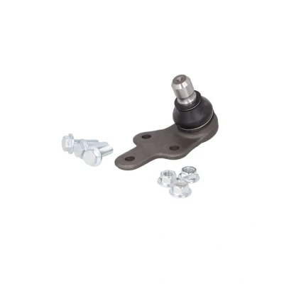 Afbeelding van Moog Fuseekogel VV BJ 13891