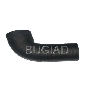 Afbeelding van Laadluchtslang BUGIAD 84612