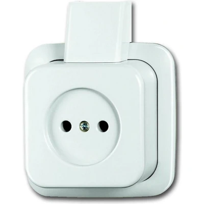 Afbeelding van Busch Jeager stopcontact plaat opbouw alpin wit 2300 APJW