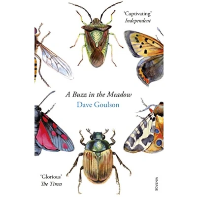 Afbeelding van A Buzz in the Meadow: Dave Goulson