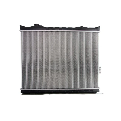 Afbeelding van Thermotec Radiateur D70315TT