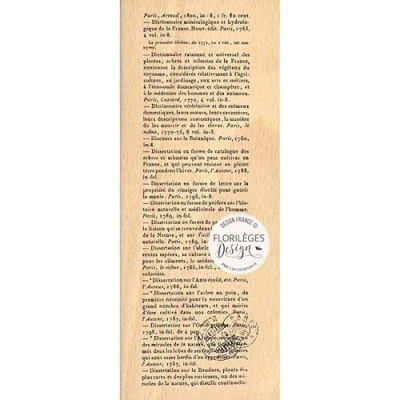 Afbeelding van Florilèges Design Houten stempel, beige, 6 x 15 cm