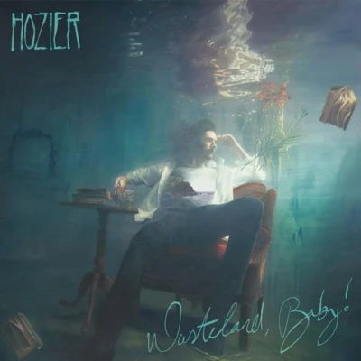 Afbeelding van Hozier Wasteland / Baby! (2 LPs)