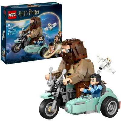 Afbeelding van LEGO 76443 Harry Potter Hagrid en Harry&#039;s rit op de motor