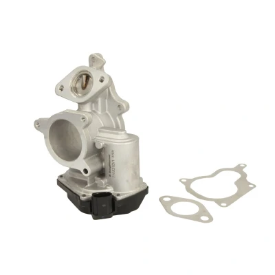 Afbeelding van Wahler EGR klep 710931D