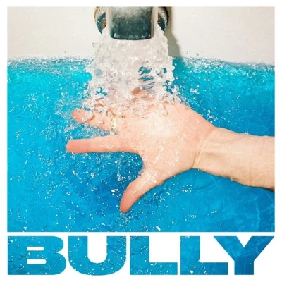Afbeelding van Bully Sugaregg (LP)