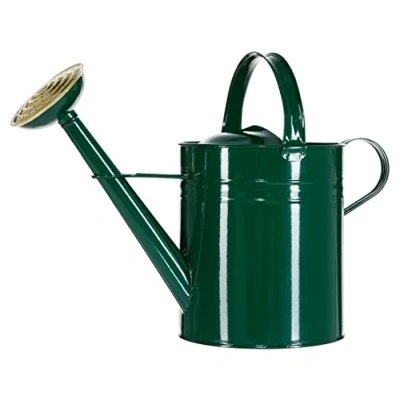 Afbeelding van Dehner Gieter nostalgisch, 9 l, ca. 48 x 37 21 cm, zink, groen